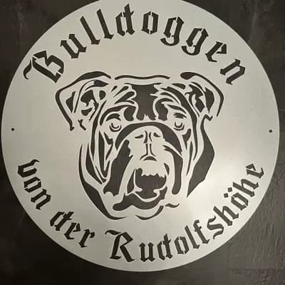 Bulldoggen von der Rudolfshöhe