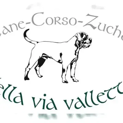 della via valletta cover