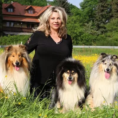 Forever mind Collies im Herzen Bayerns