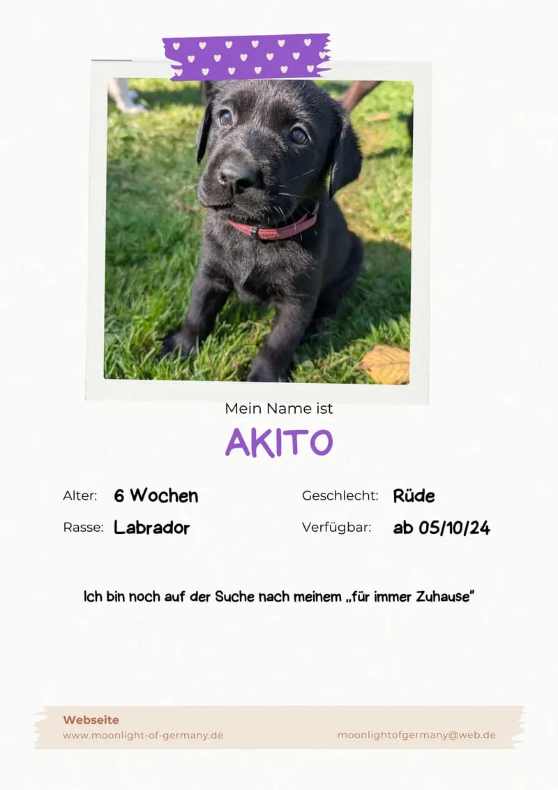 Akito gallery image 3