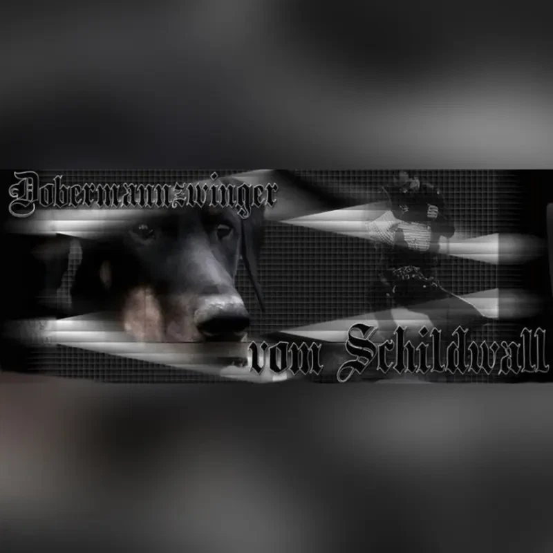 Vom Schildwall main gallery image