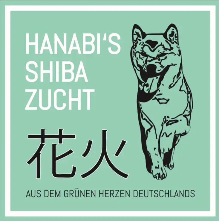 HANABI‘S Shibas gallery image 2