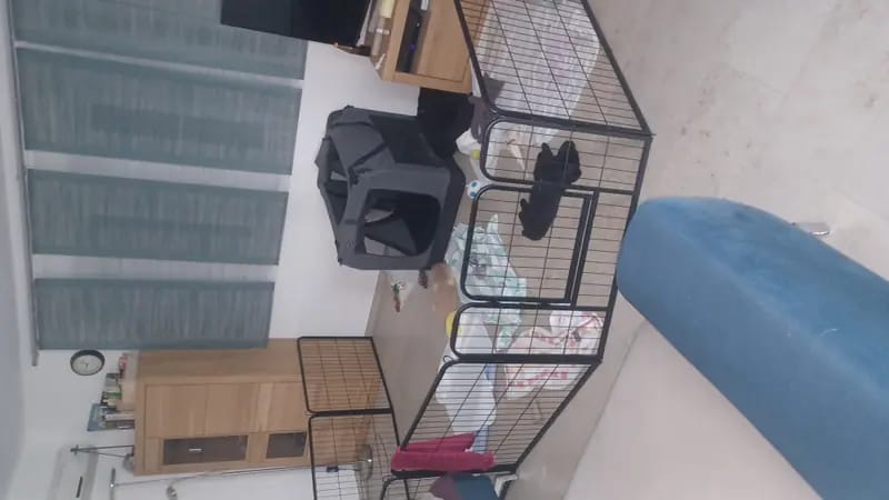 vom treuen Blick gallery image 2