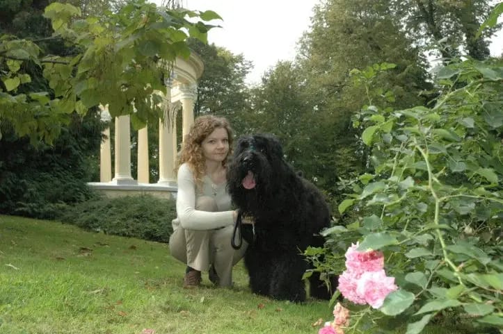 Schwarzer russischer Terrier Welpen - Astra Fidelis FCI gallery image 3