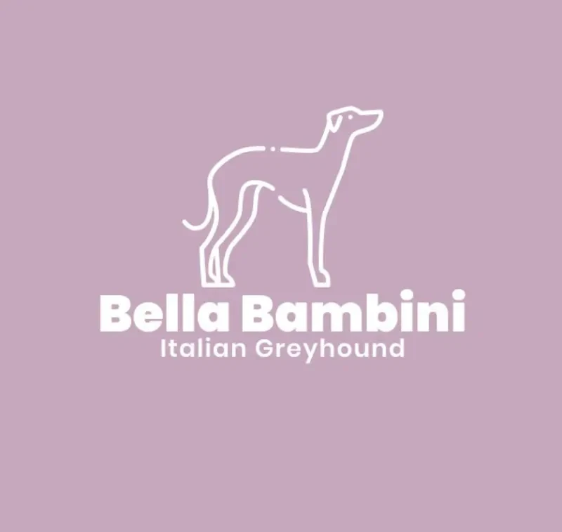 Bella Bambini main gallery image