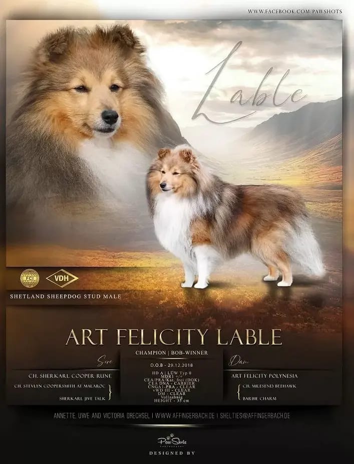 Art Felicity Lable gallery image 2