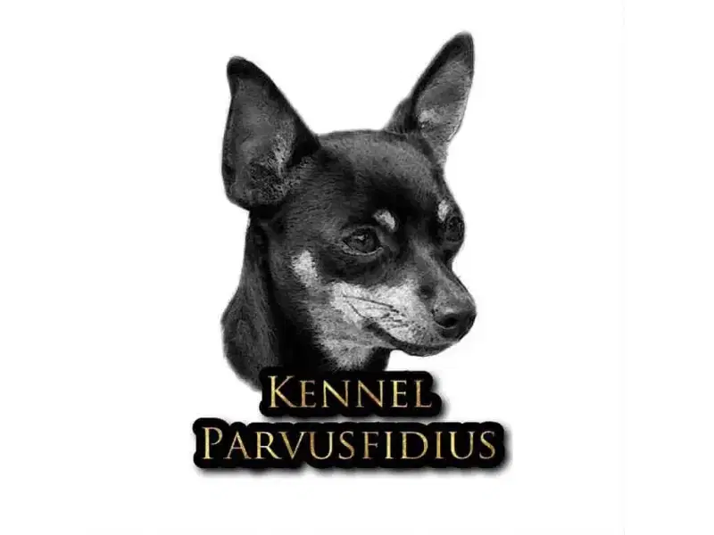 Parvus Fidius