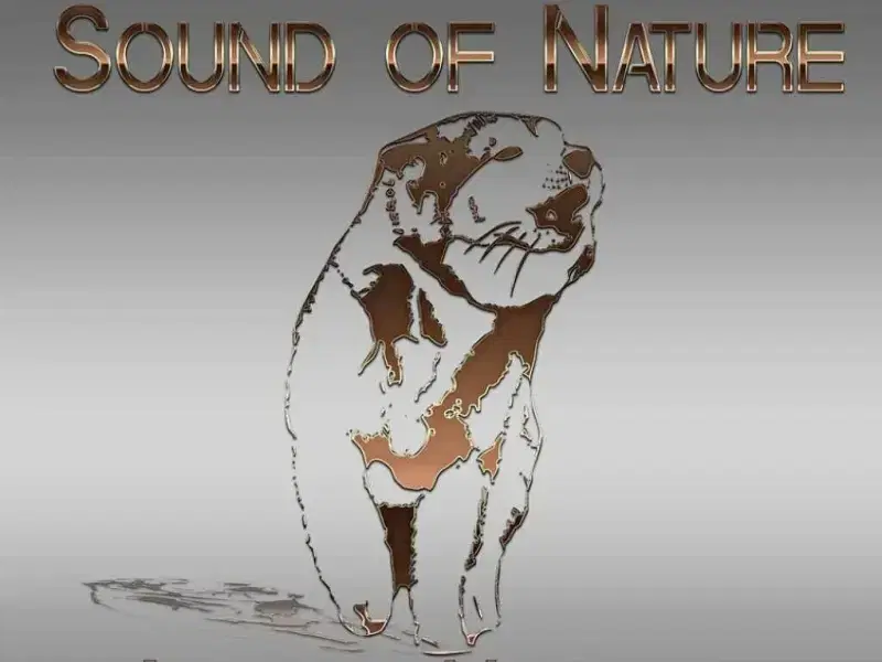 Sound of Nature