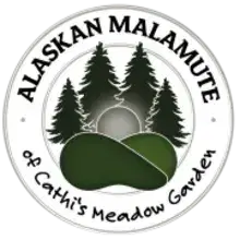 of Cathi’s meadow garden