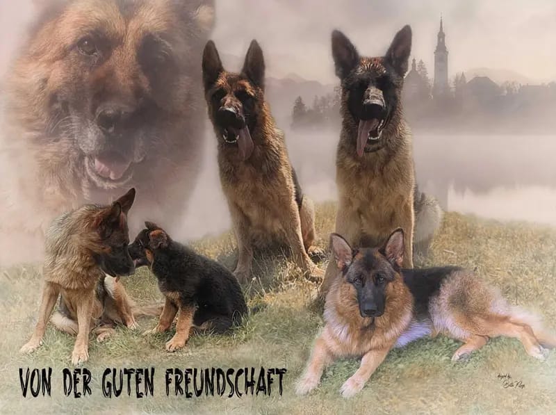 Von der guten Freundschaft gallery image 3