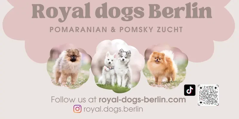Royal dogs Berlin main gallery image