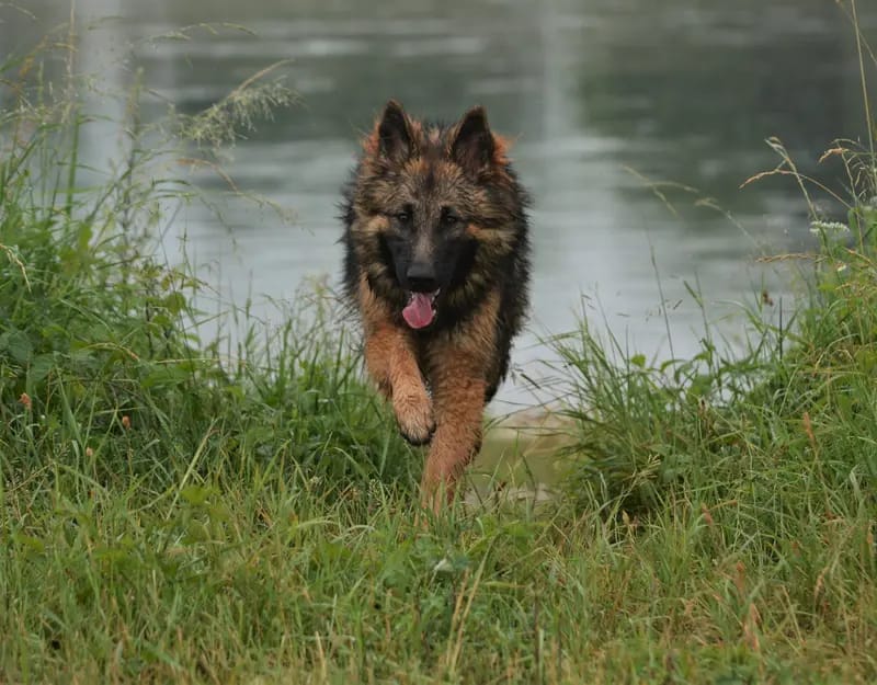 Fiby aus dem Waldquellental gallery image 2