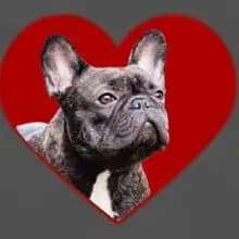 de notre coeur