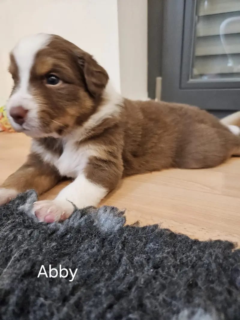 Abby gallery image 3