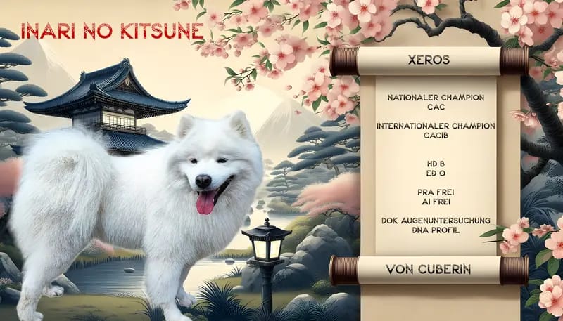 Inari no Kitsune gallery image 3