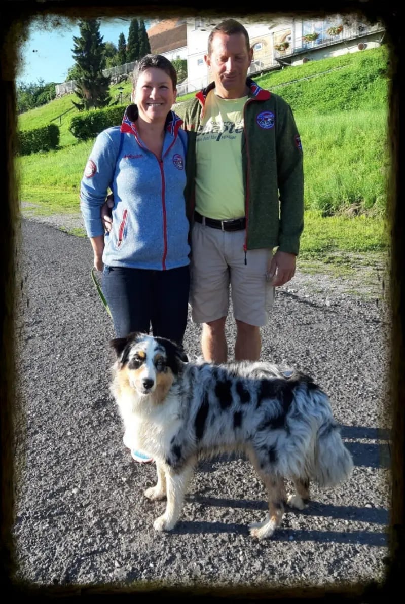 Aischa – Australian Shepherd – Bild 2