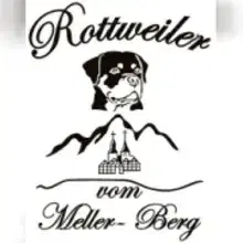 vom Meller Berg