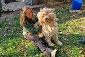 Ole – Hirtenhund (Mioritic?) – Photo 3