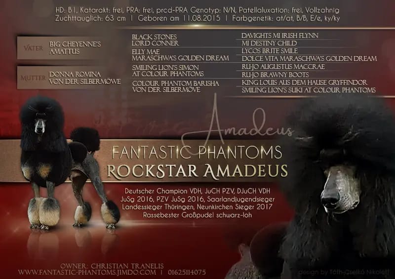 Fantastic Phantoms RockStar Amadeus gallery image 2