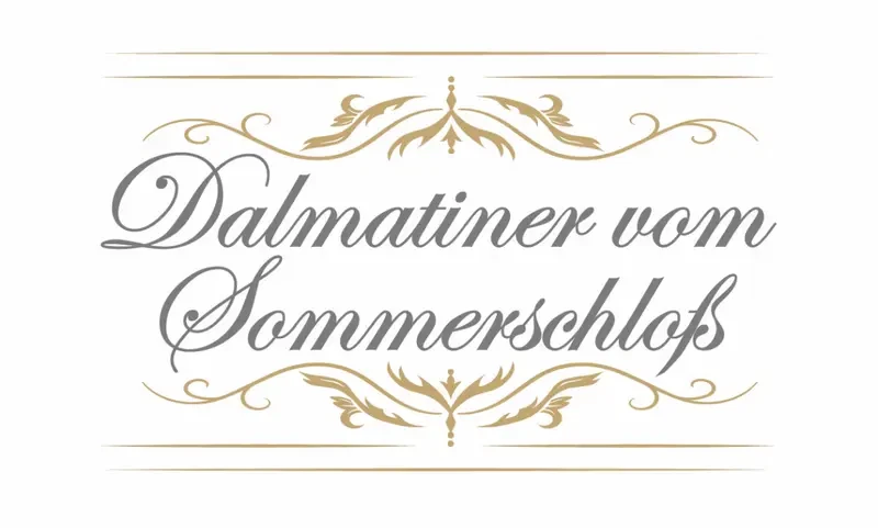 Dalmatiner vom Sommerschloß main gallery image