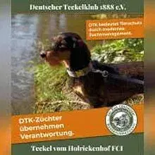 vom Holrickenhhof