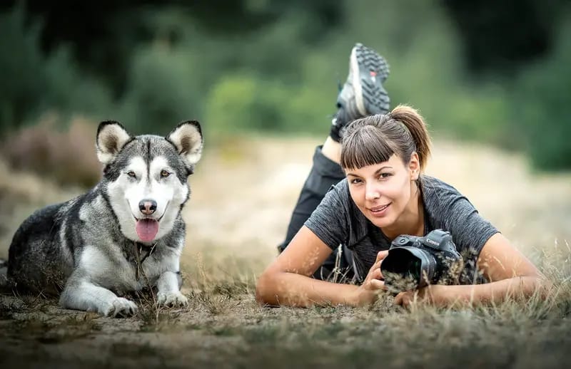 Siberian Husky aus Arbeitslinien gallery image 2