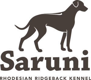 Saruni main gallery image