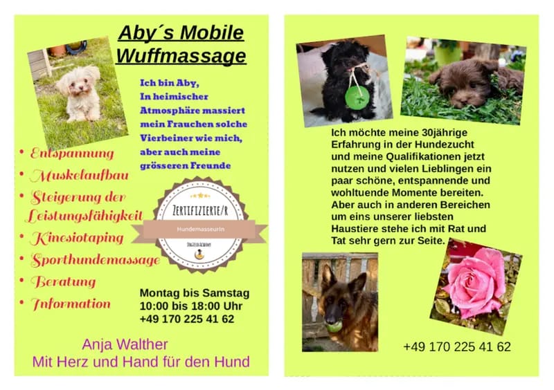 Hupe von Sweet Colors gallery image 3