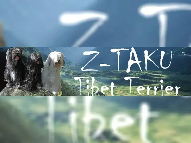 Z-TAKU