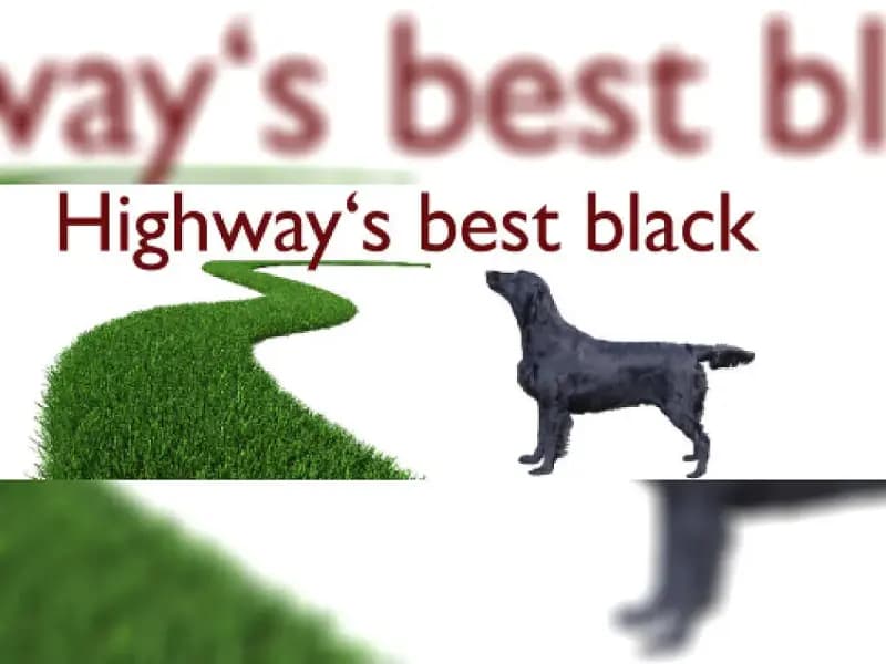 Highway’s best black