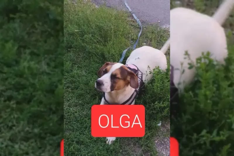 Olga gallery image 2