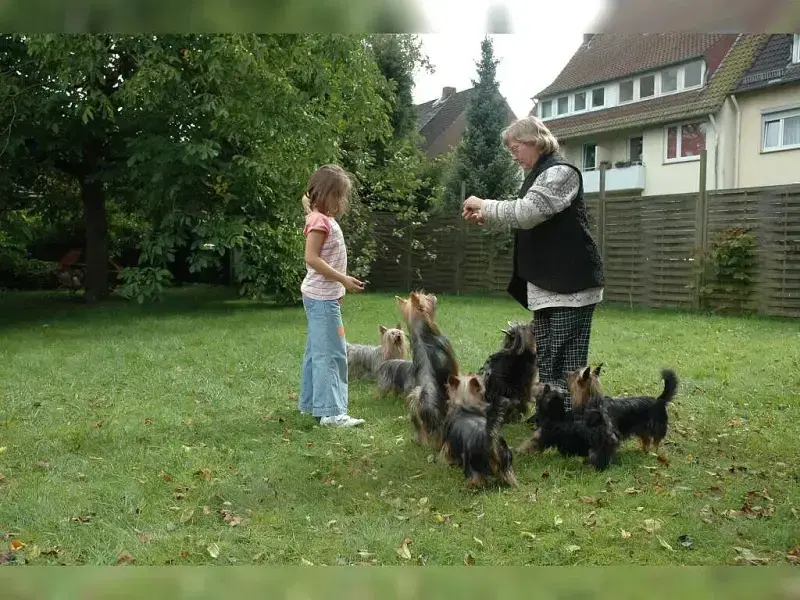 vom Grauen Strom