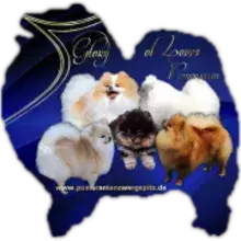Glory of Loves
