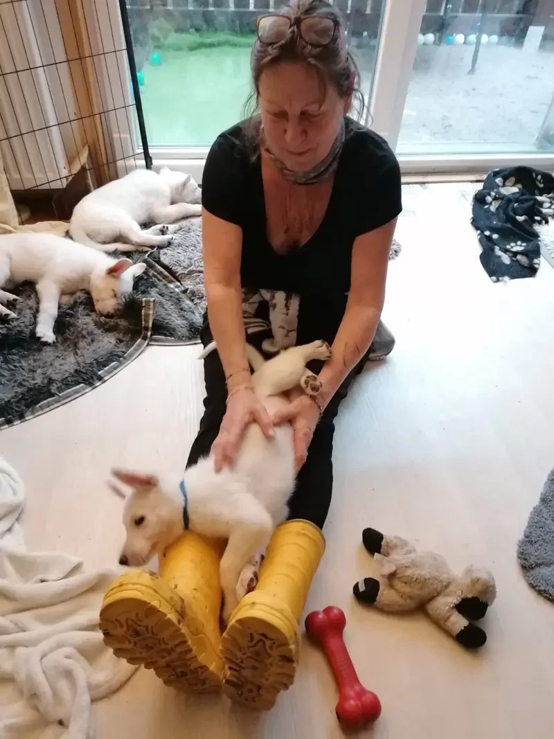 Vom Rehgraben main gallery image