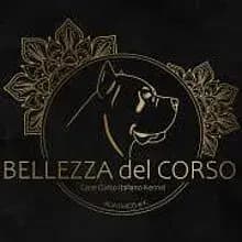 Bellezza del corso