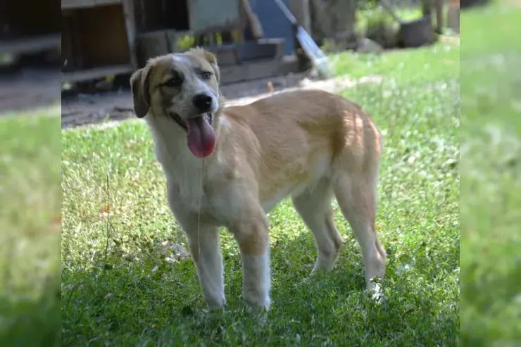 Cuna gallery image 3