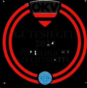 Hamisch gallery image 3