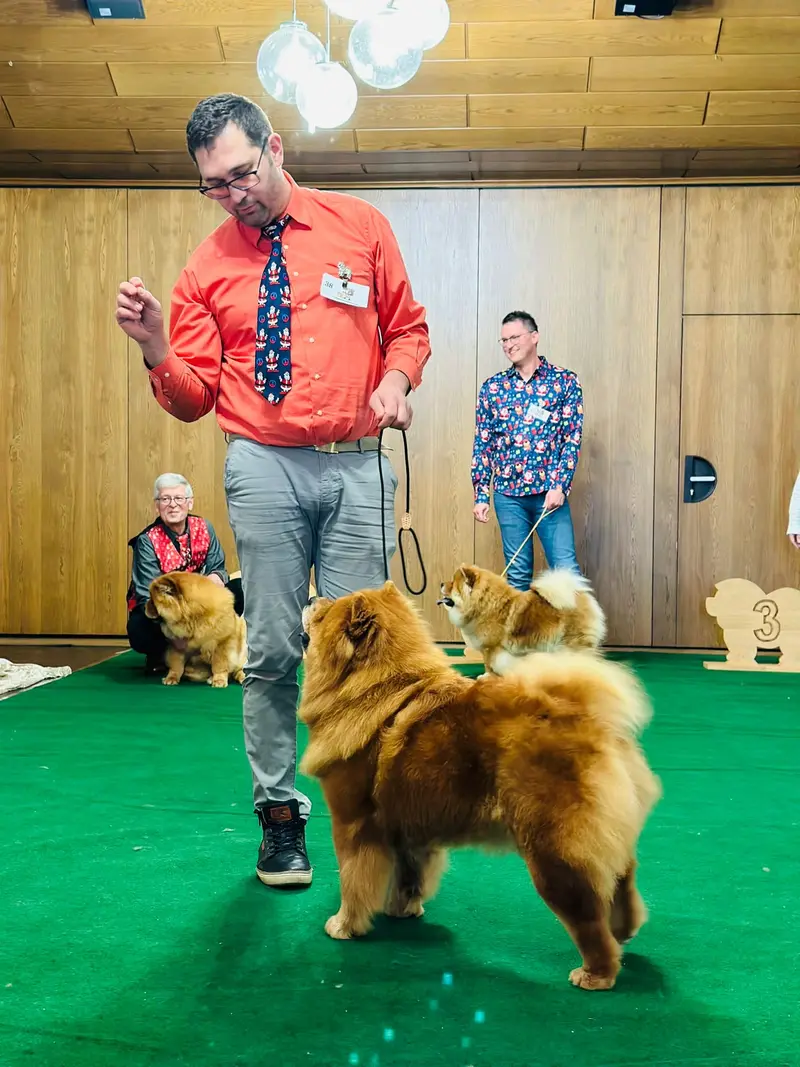 Muffinvelvet kennel – Chow Chow – Billede 4