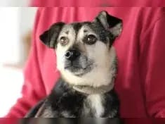Ronja gallery image 4