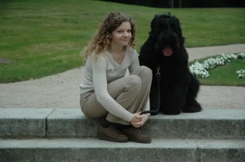 Schwarzer russischer Terrier Welpen - Astra Fidelis FCI gallery image 4