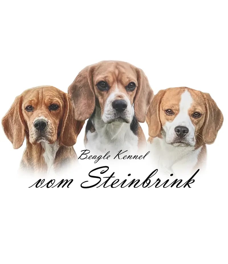Vom Steinbrink gallery image 2