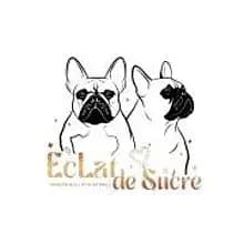 EcLat de Sucre