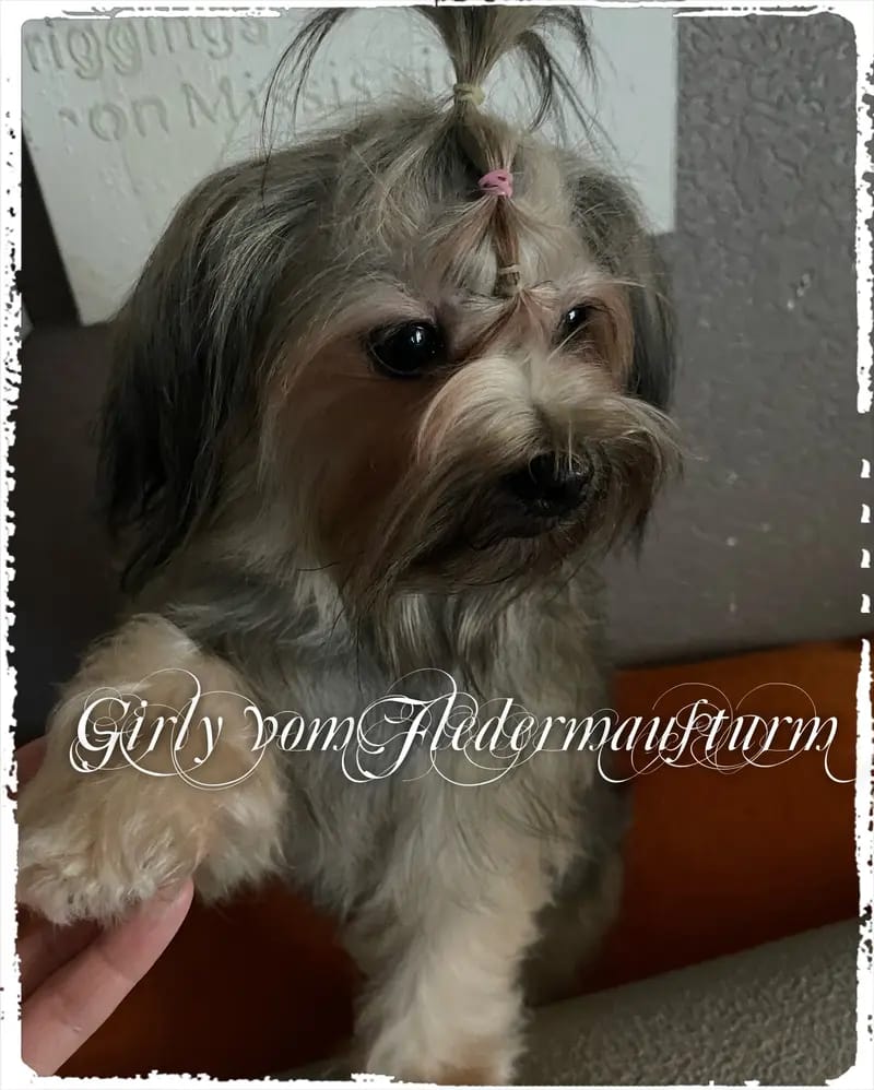 Girlie vom Fledermausturm gallery image 2